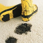 mud-on-carpet-chem-dry